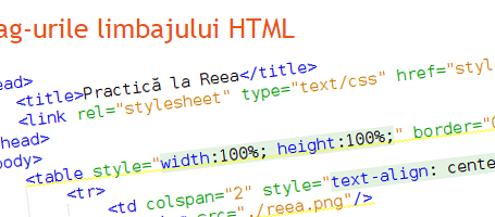 Practica la Reea - Tagurile limbajului HTML